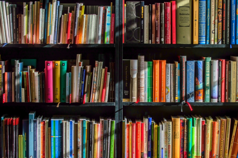 magasin-LA GARDE-min_books_bookstore_book_reading_shop_writer_sale_books_read-822866